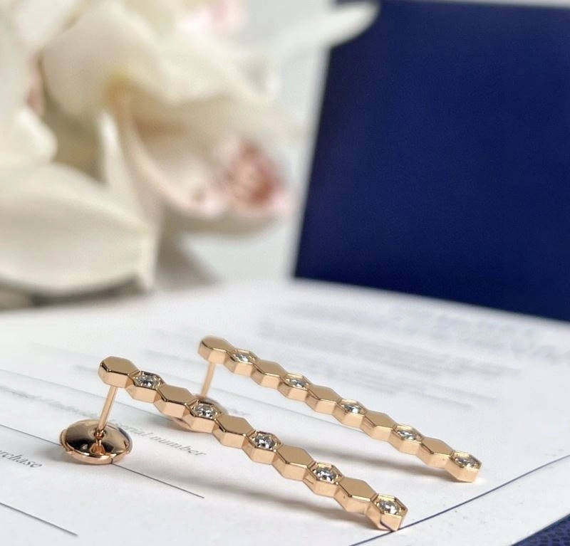 Chaumet Earrings ZipUp 211397