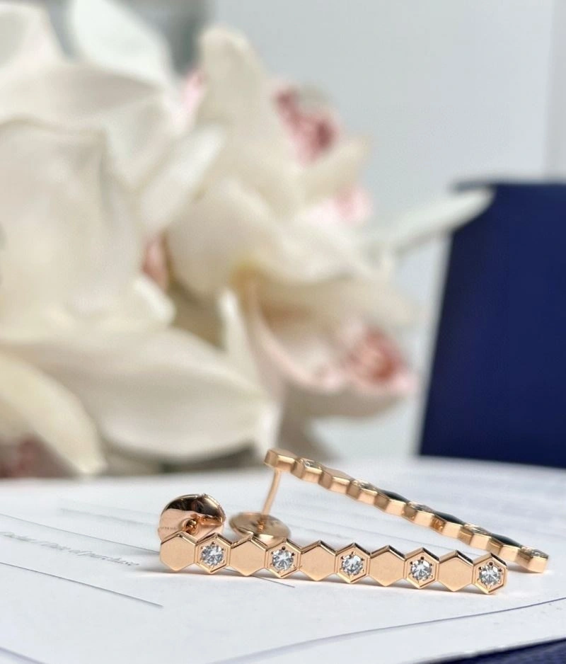 Chaumet Earrings ZipUp 211397