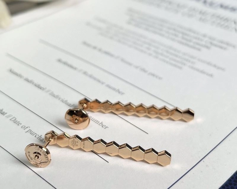 Chaumet Earrings ZipUp 211397