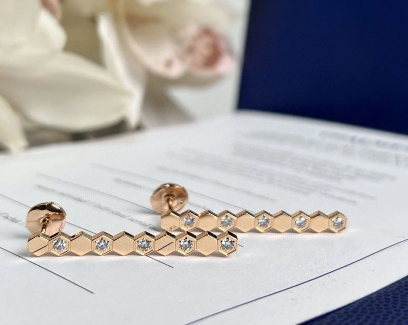 Chaumet Earrings ZipUp 211397