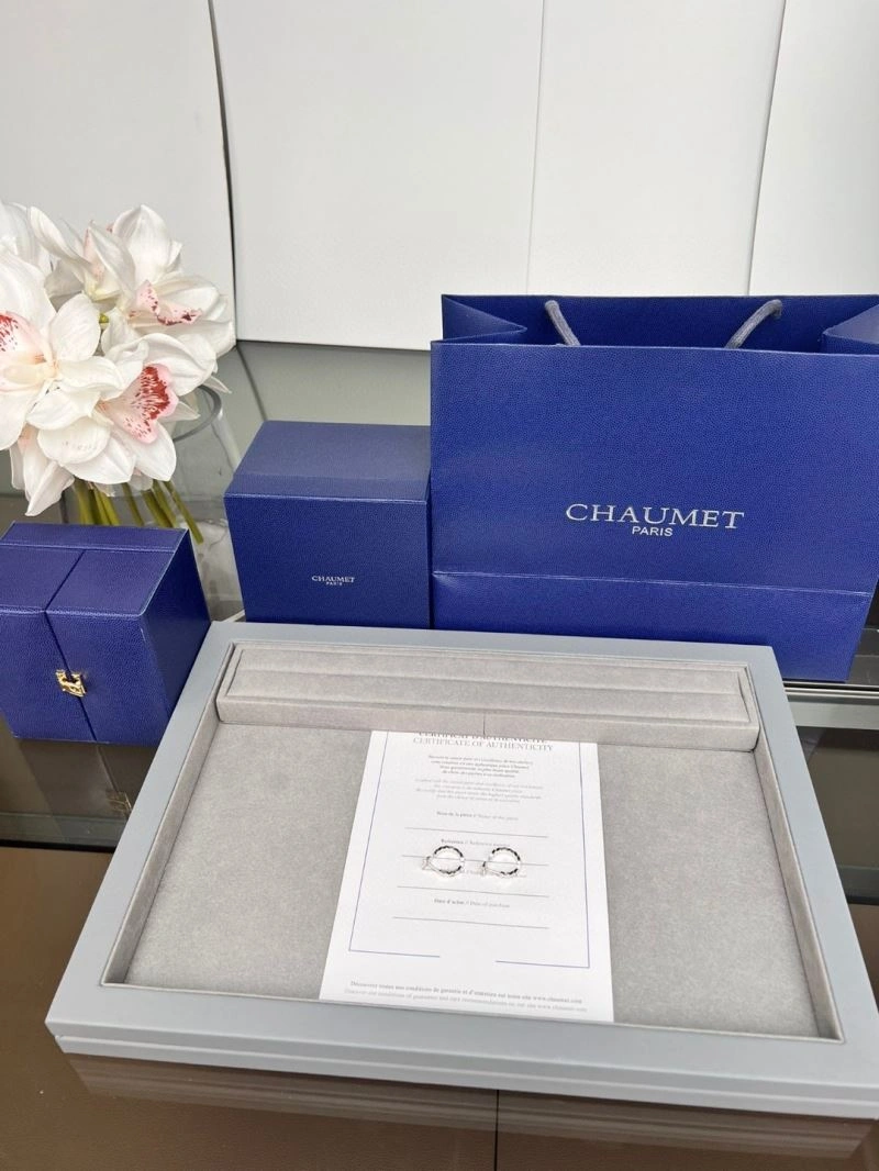 Attractive Chaumet Earrings 211405