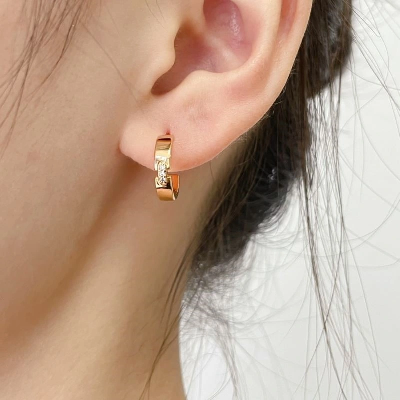 Unisex Chaumet Earrings 210009