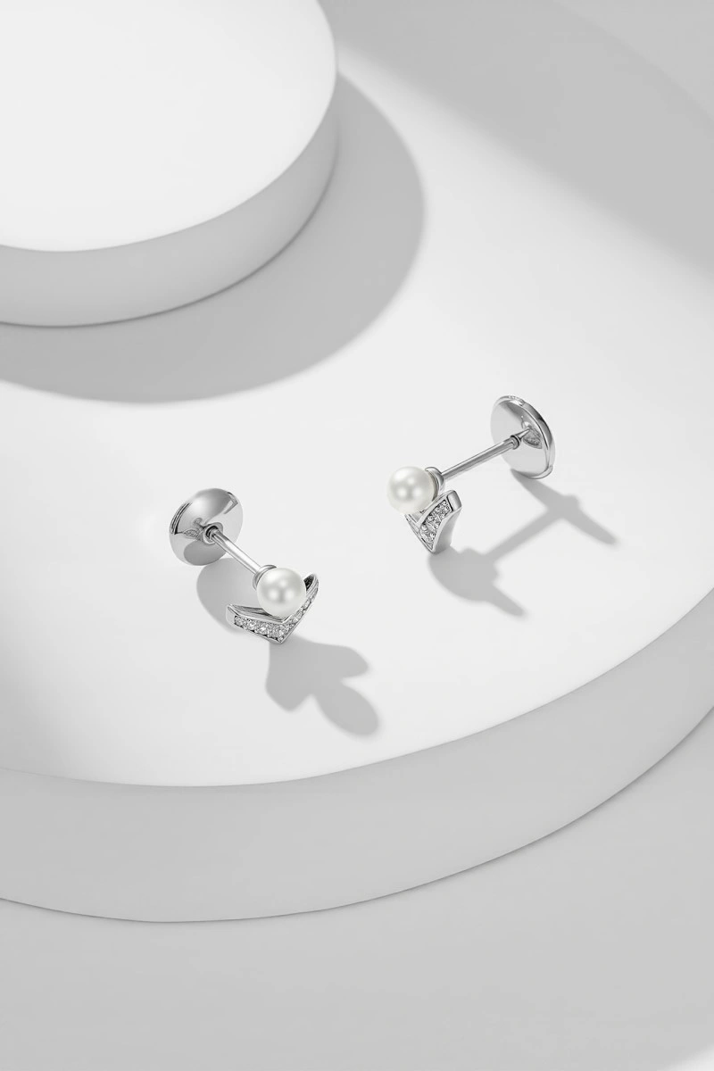 Snug Chaumet Earrings 208138