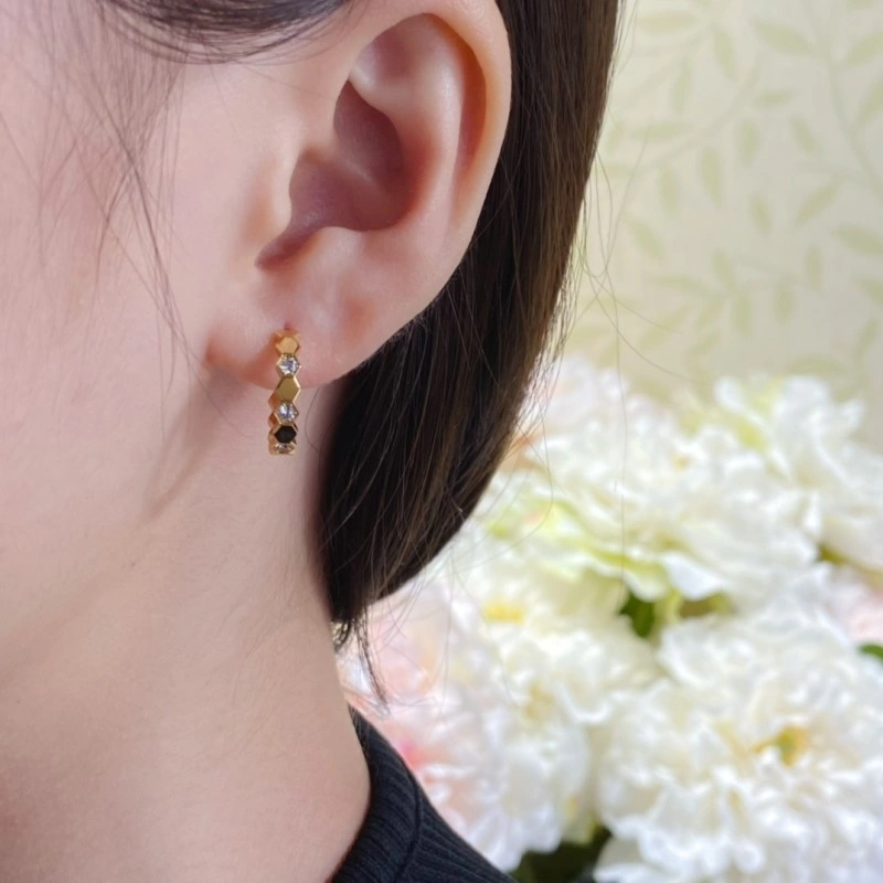Chaumet Earrings Breathable 208137