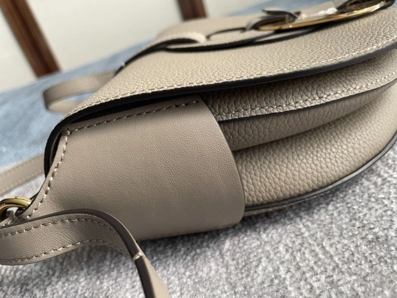 Chloe Darryl Bags Classic 67450