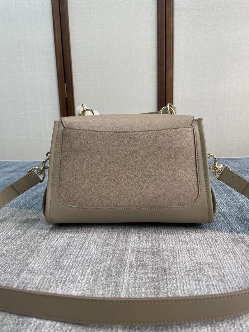 Chloe Satchel Bags Thermal 60226