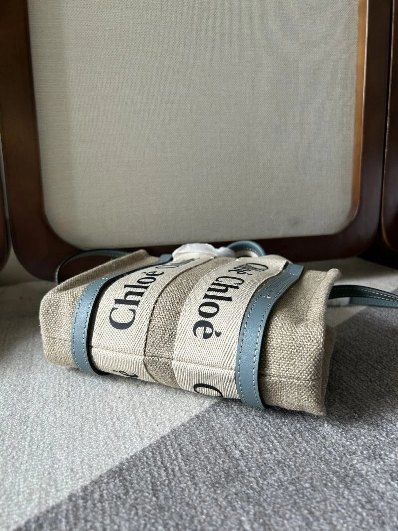 Efficient Chloe Shopping Bags 60167