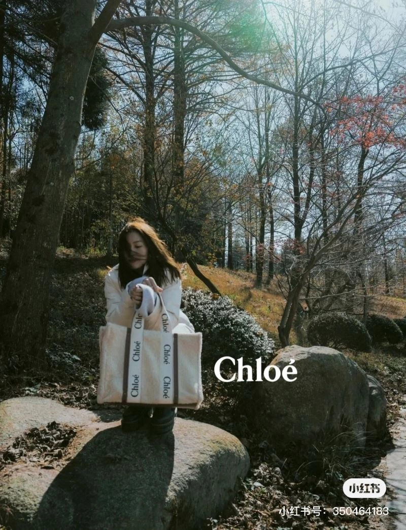Chloe Shopping Bags NewStyle 60192