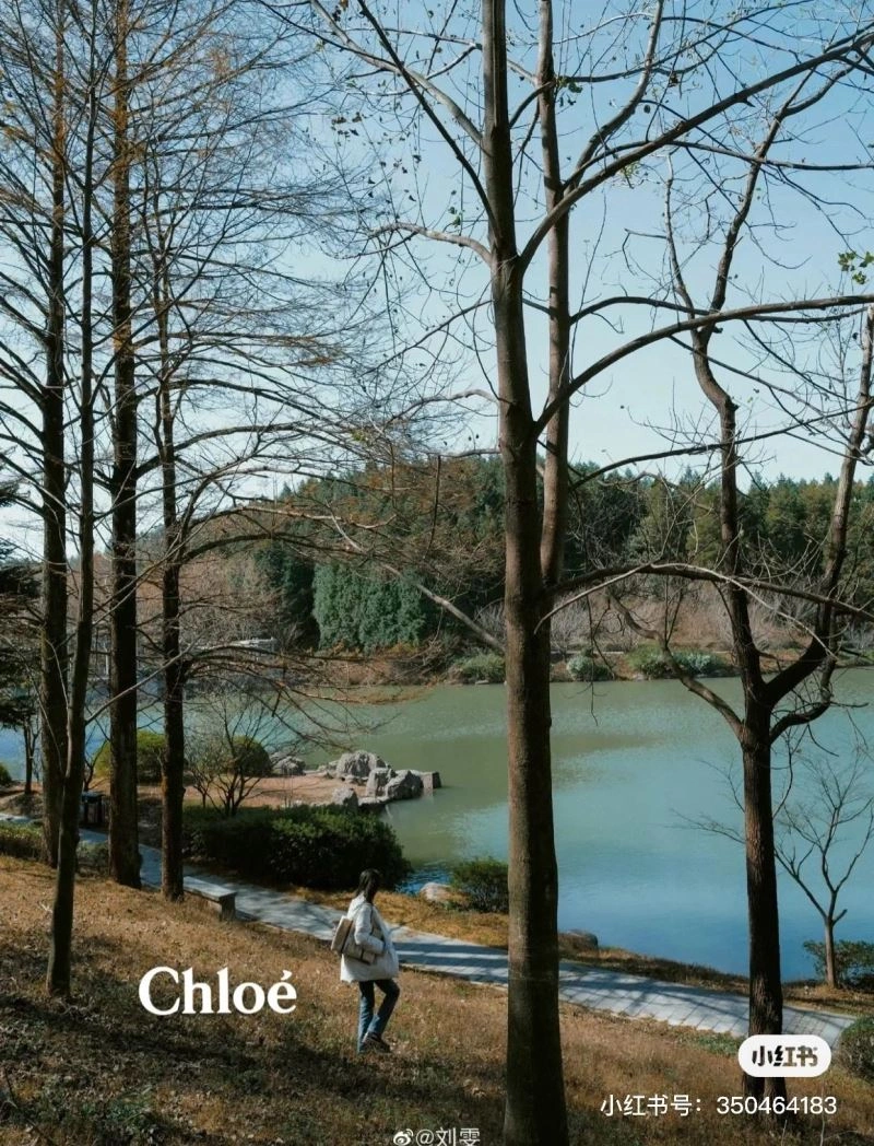 Chloe Shopping Bags NewStyle 60192