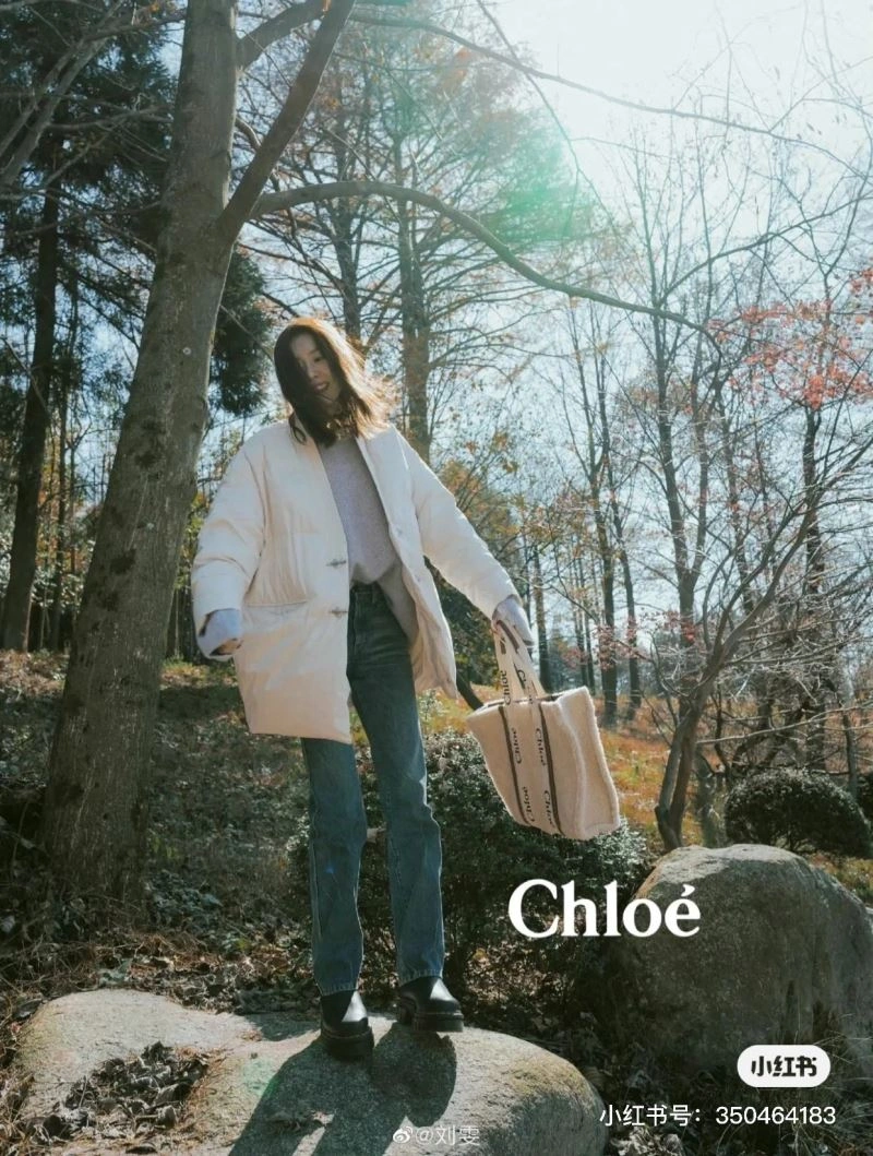 Chloe Shopping Bags NewStyle 60192