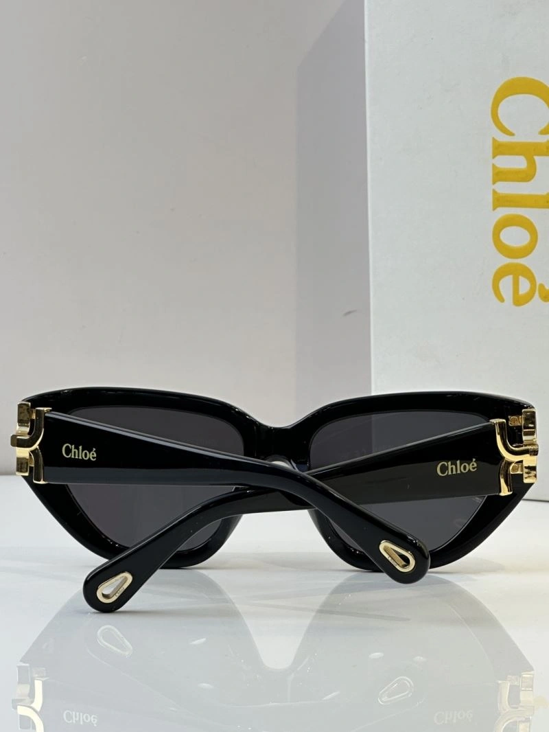 Versatile Chloe Sunglasses 278586