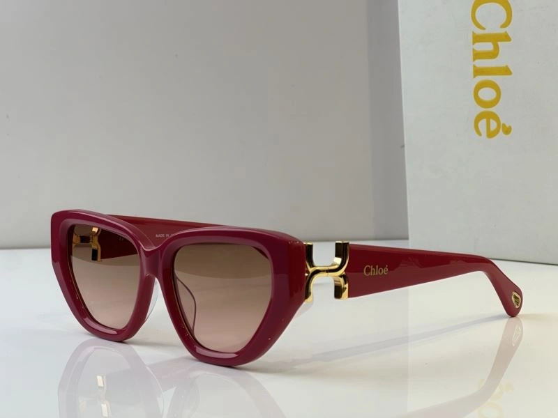 Versatile Chloe Sunglasses 278586