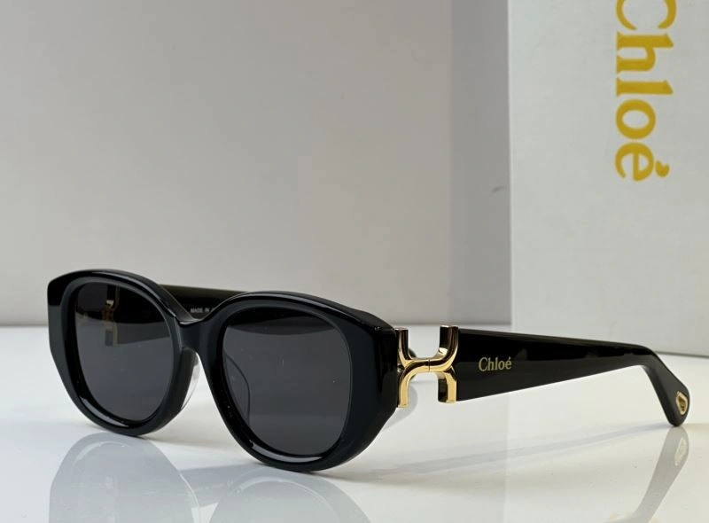 Chloe Sunglasses WeatherProof 278583