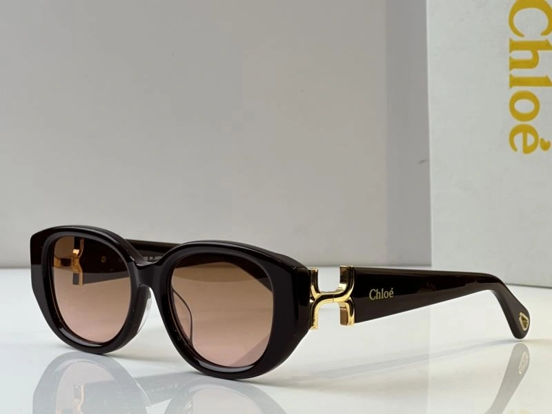 Chloe Sunglasses WeatherProof 278583