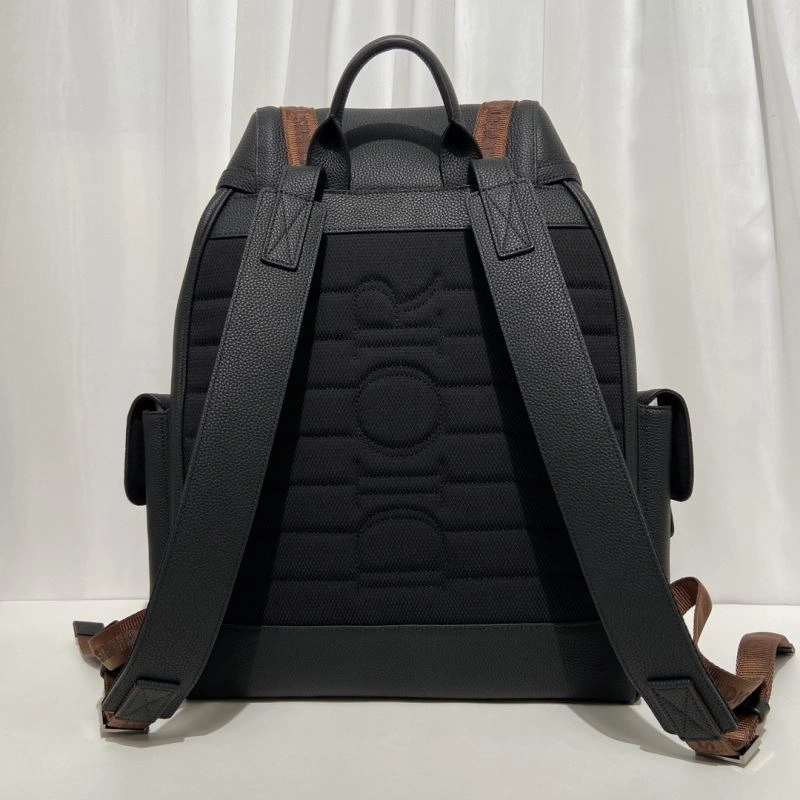 Efficient Christian Dior Backpacks 71298