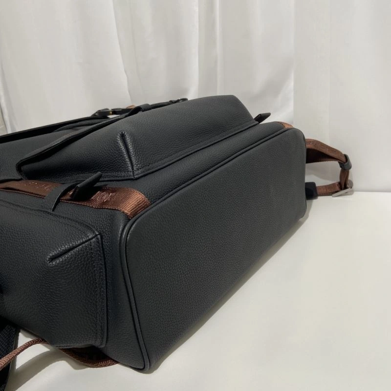 Efficient Christian Dior Backpacks 71298