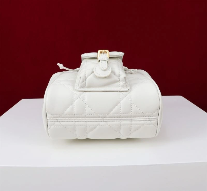 Christian Dior Backpacks Sleek 64127