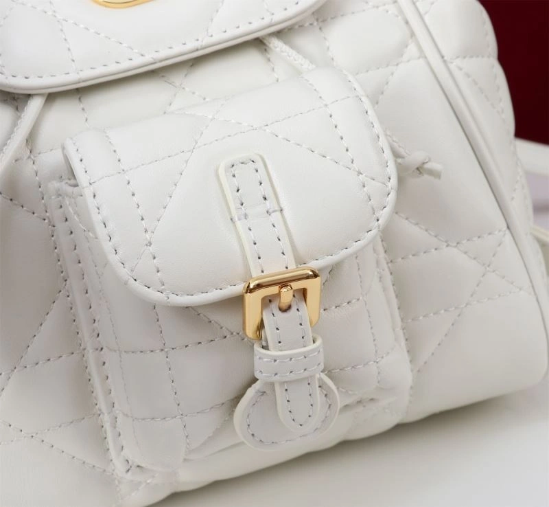 Christian Dior Backpacks Sleek 64127