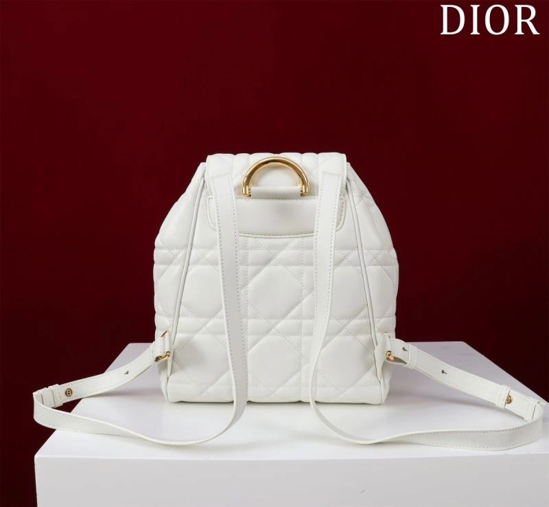 Tailored Christian Dior Backpacks 64178