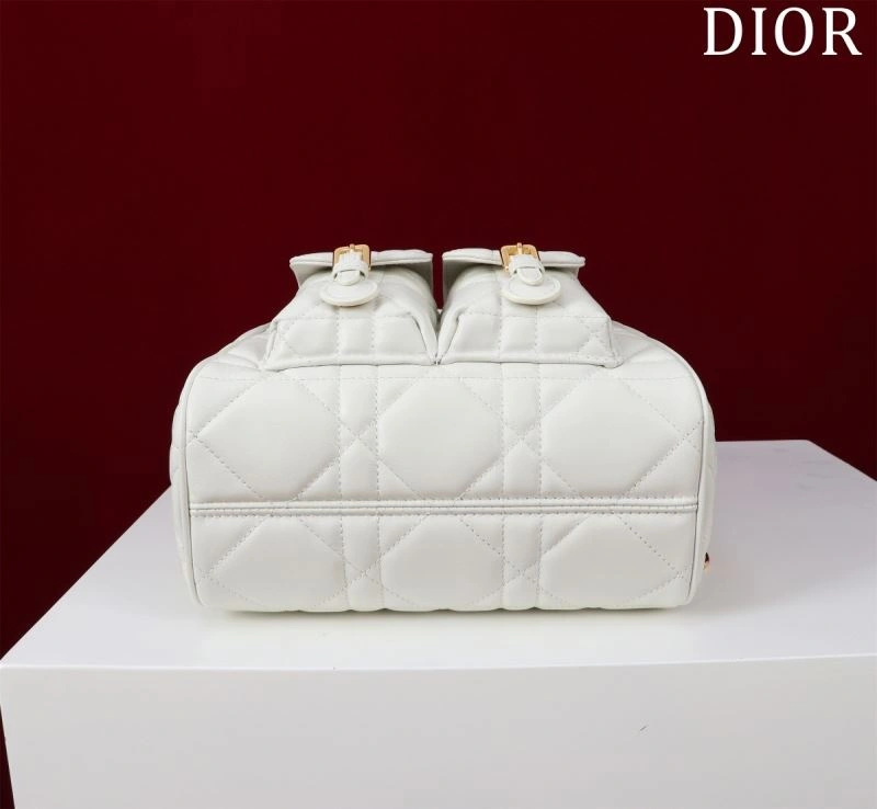 Tailored Christian Dior Backpacks 64178