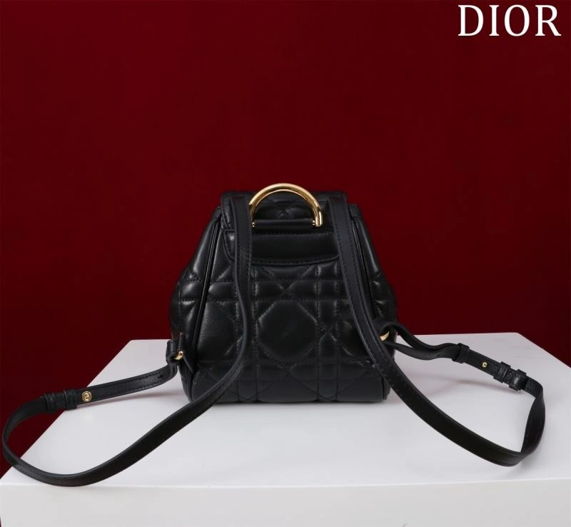 WellDesigned Christian Dior Backpacks 64095