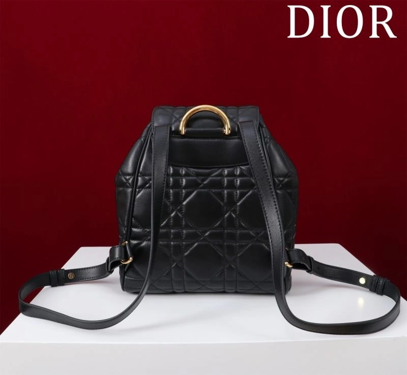Christian Dior Backpacks Efficient 64100