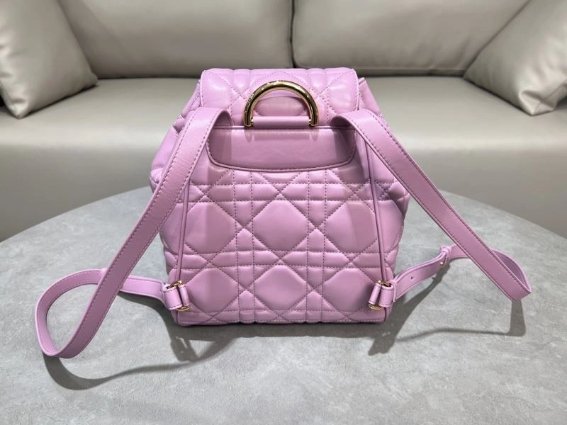 Thermal Christian Dior Backpacks 64090