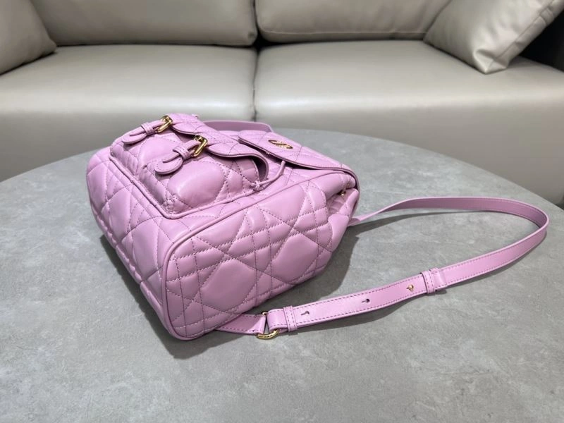 Thermal Christian Dior Backpacks 64090