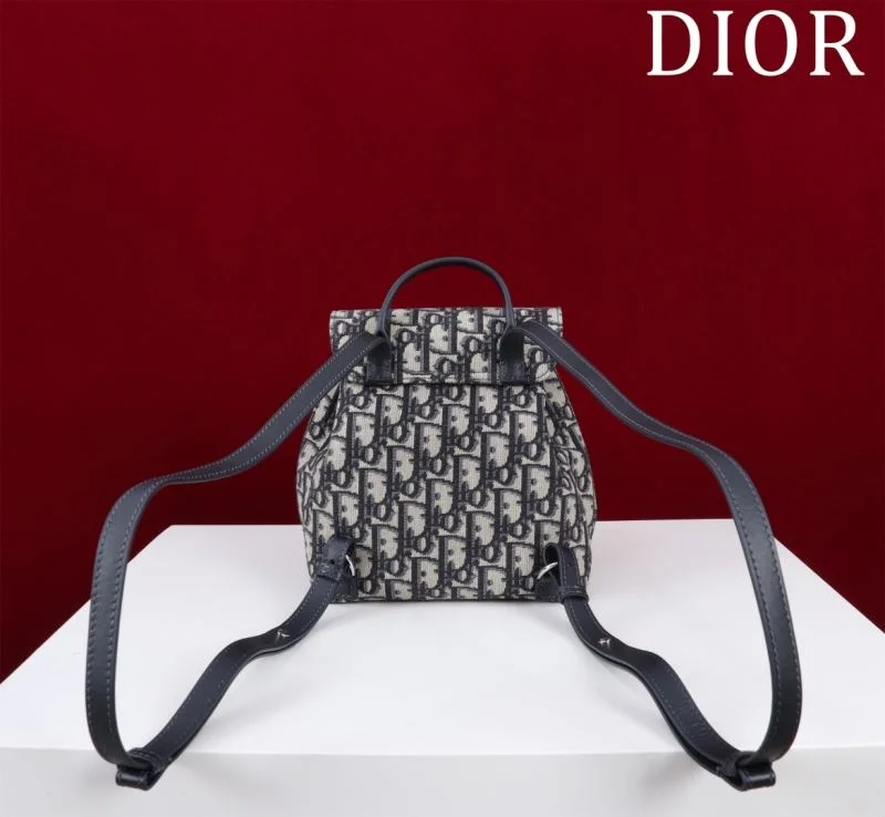 Efficient Christian Dior Backpacks 47730