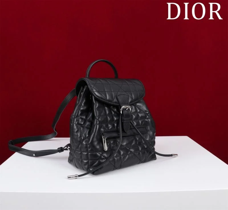 TravelReady Christian Dior Backpacks 47757