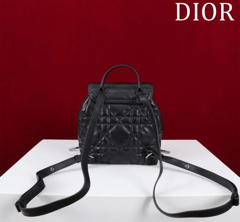 TravelReady Christian Dior Backpacks 47757