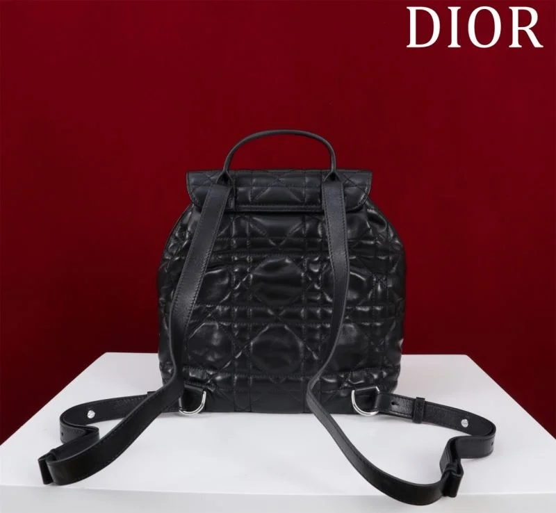 Christian Dior Backpacks TechFriendly 47760