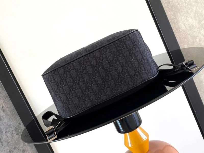 Resilient Christian Dior Backpacks 47731
