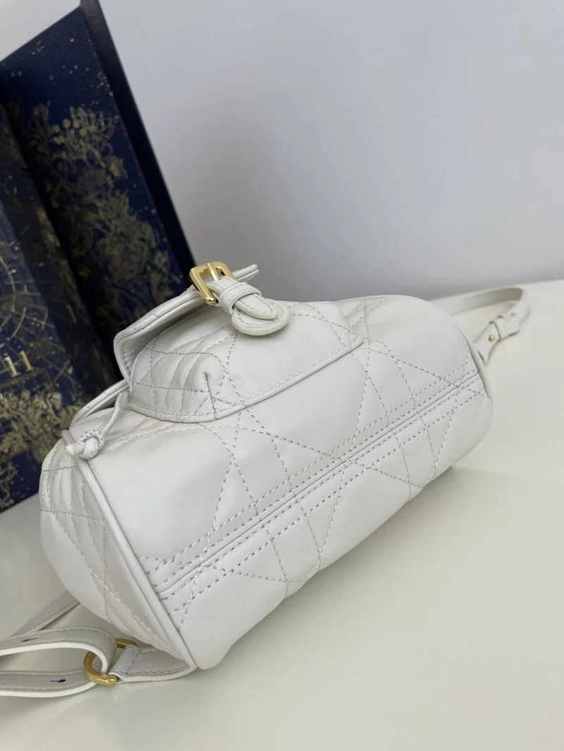 EyeCatching Christian Dior Backpacks 47690