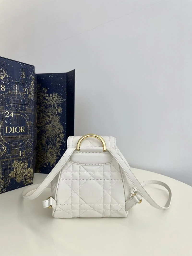 EyeCatching Christian Dior Backpacks 47690