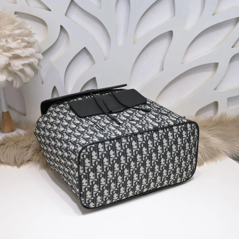 Christian Dior Backpacks Resilient 77159