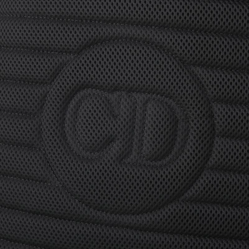 Efficient Christian Dior Backpacks 76928