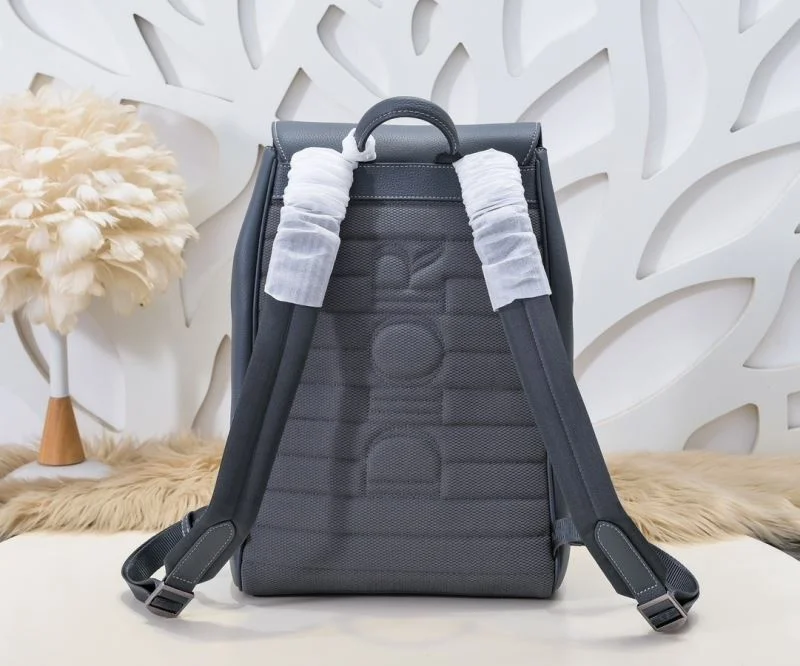Seasonal Christian Dior Backpacks 46593