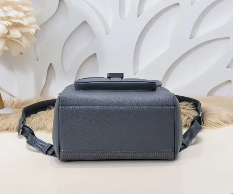 Seasonal Christian Dior Backpacks 46593
