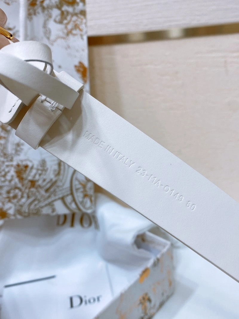 Christian Dior Belts Minimalist 284763