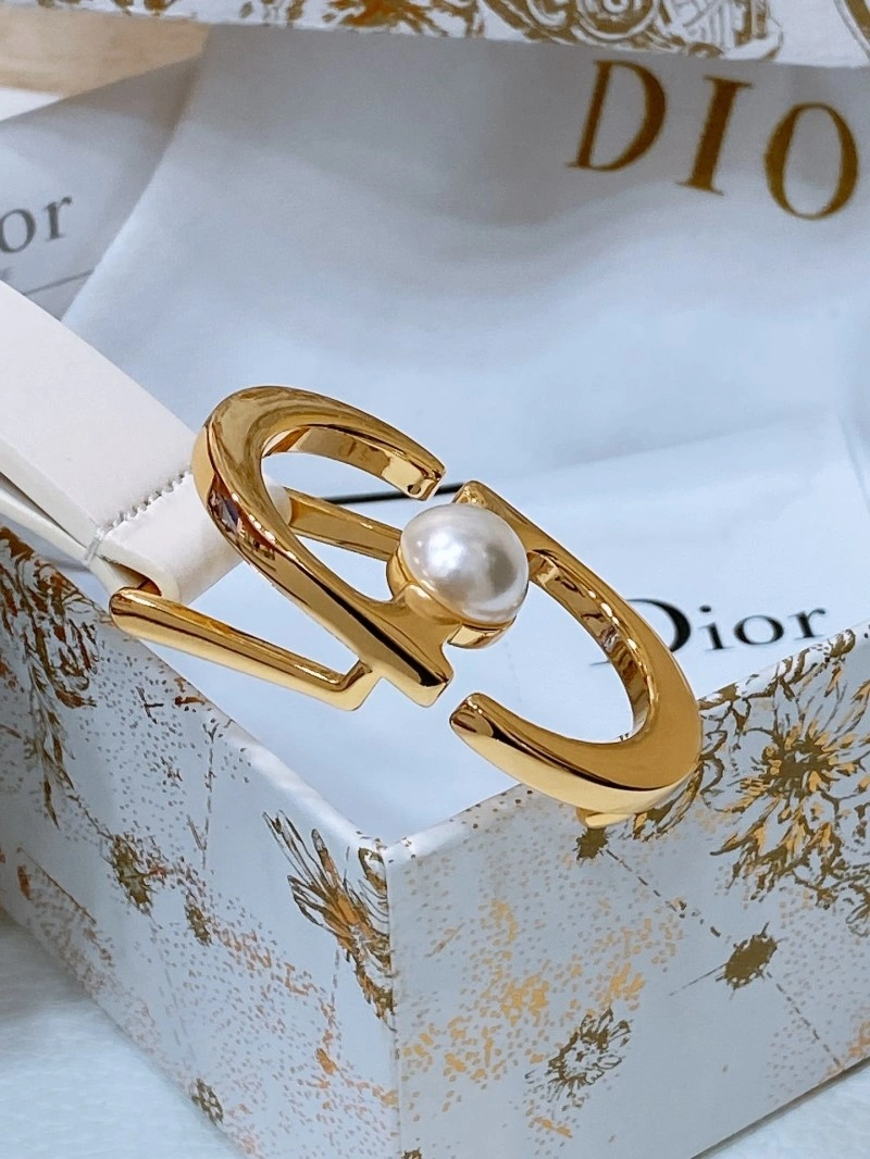 Christian Dior Belts Minimalist 284763