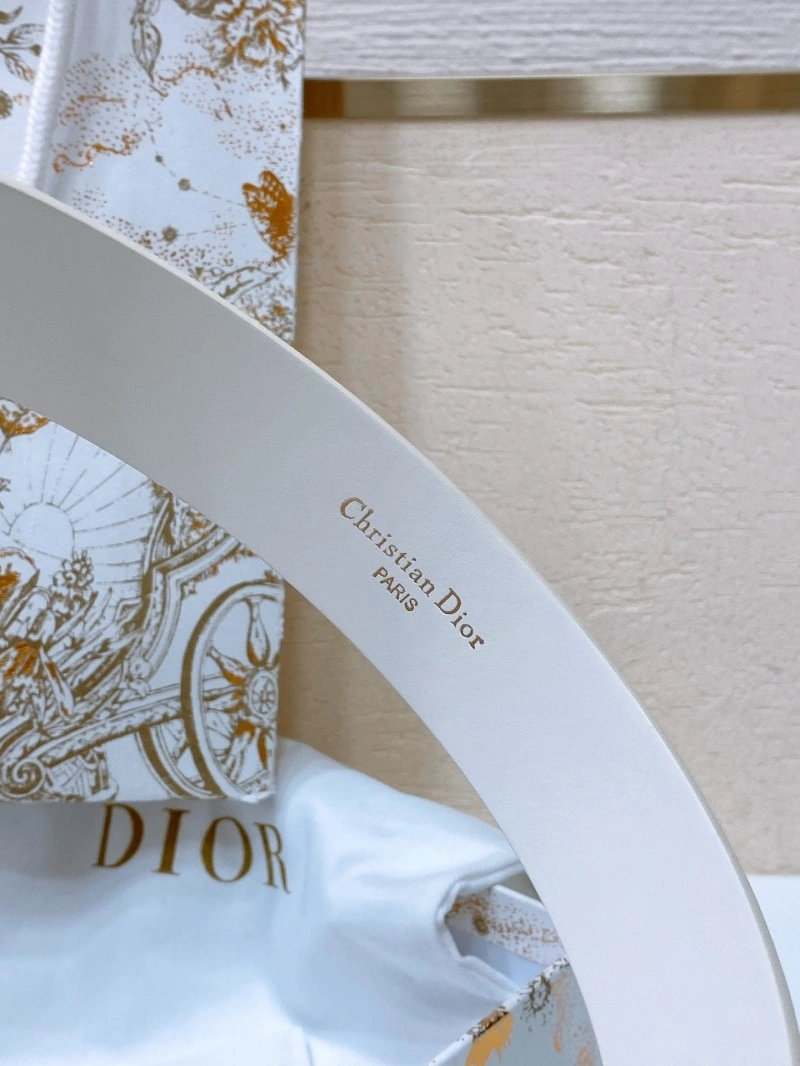 Christian Dior Belts Minimalist 284763