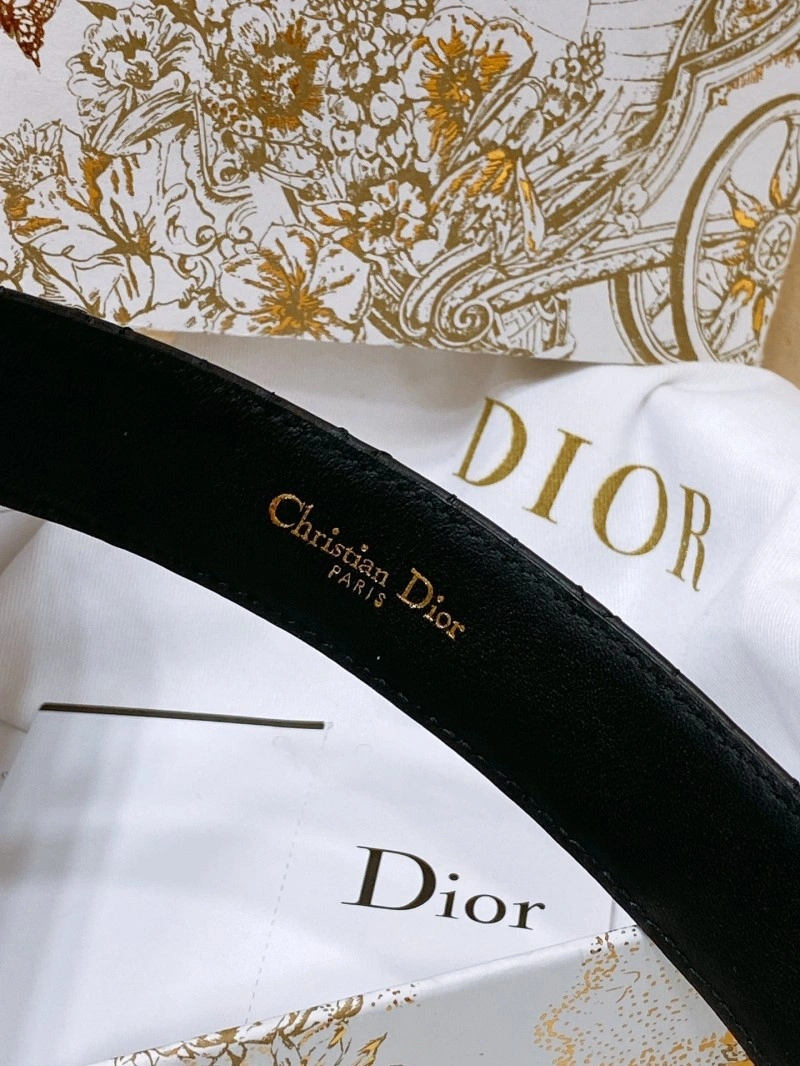 Christian Dior Belts Classic 284761