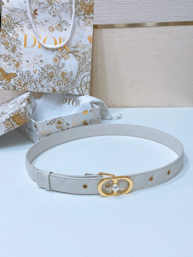 Christian Dior Belts MultiPurpose 284760