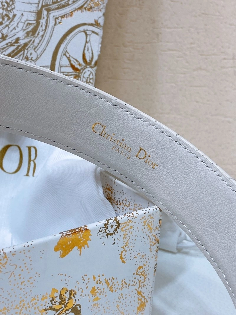 Christian Dior Belts MultiPurpose 284760