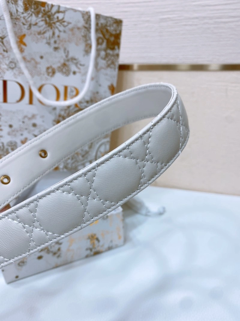 Christian Dior Belts MultiPurpose 284760