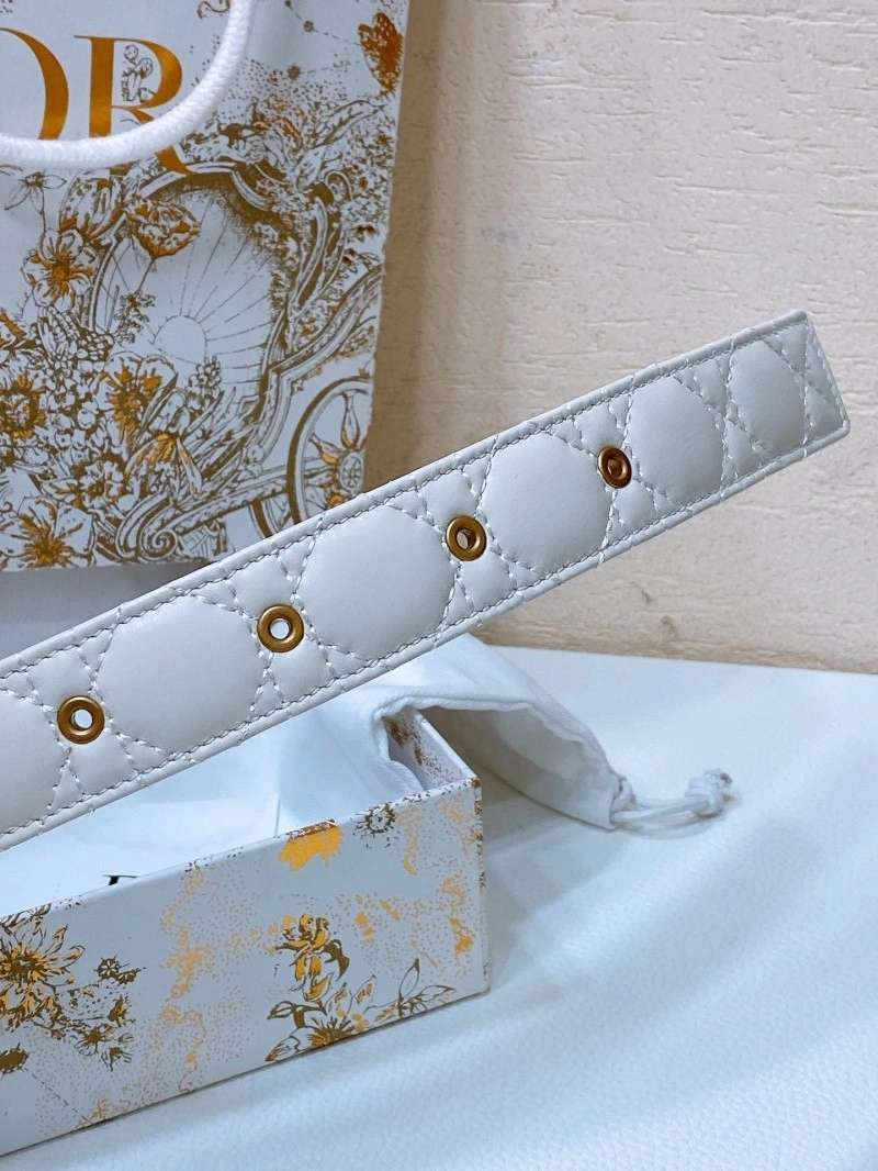 Christian Dior Belts MultiPurpose 284760