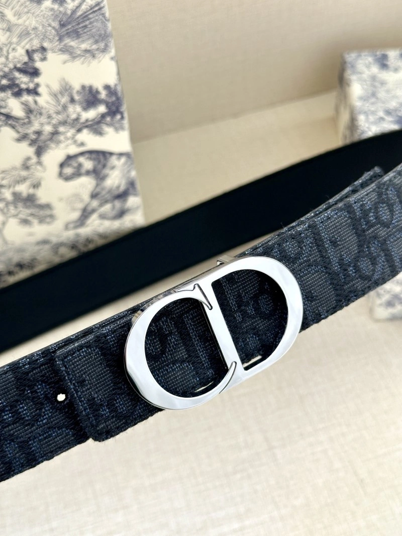 Christian Dior Belts WeatherProof 284756