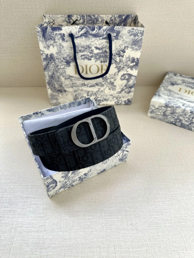 Christian Dior Belts WeatherProof 284756