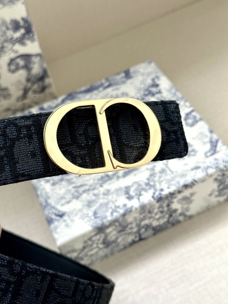 Christian Dior Belts WeatherProof 284756